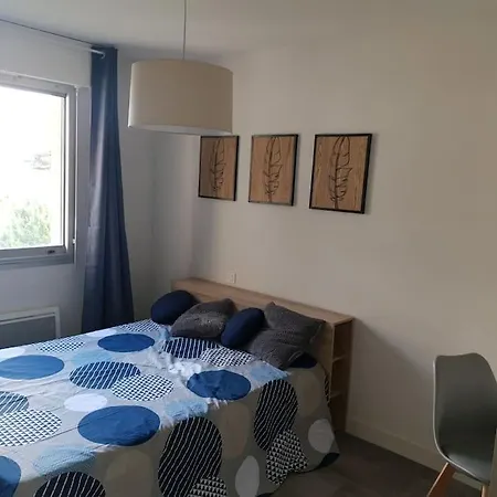 3 Avec Terrasse Et Parking Daire Albi